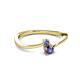 2 - Lucie 4.10 mm Bold Round Tanzanite and Iolite 2 Stone Promise Ring 