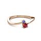 2 - Lucie 4.10 mm Bold Round Tanzanite and Ruby 2 Stone Promise Ring 
