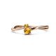 1 - Lucie 4.10 mm Bold Round Citrine 2 Stone Promise Ring 