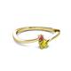 2 - Lucie 4.10 mm Bold Round Rhodolite Garnet and Yellow Diamond 2 Stone Promise Ring 