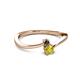2 - Lucie 4.10 mm Bold Round Black and Yellow Diamond 2 Stone Promise Ring 