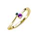 3 - Lucie 4.10 mm Bold Round Blue Diamond and Amethyst 2 Stone Promise Ring 