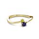2 - Lucie 4.10 mm Bold Round Yellow Diamond and Blue Sapphire 2 Stone Promise Ring 