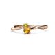 1 - Lucie 4.10 mm Bold Round Yellow Diamond and Citrine 2 Stone Promise Ring 