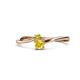 1 - Lucie 4.10 mm Bold Round Yellow Diamond and Yellow Sapphire 2 Stone Promise Ring 