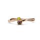 1 - Lucie 4.10 mm Bold Round Yellow Diamond and Smoky Quartz 2 Stone Promise Ring 