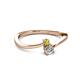 2 - Lucie 4.10 mm Bold Round Yellow and White Diamond 2 Stone Promise Ring 