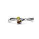 1 - Lucie 4.10 mm Bold Round Yellow Diamond and Smoky Quartz 2 Stone Promise Ring 