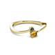 2 - Lucie 4.10 mm Bold Round Citrine and Lab Created Alexandrite 2 Stone Promise Ring 