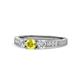 1 - Ayaka Yellow and White Diamond Three Stone Engagement Ring 
