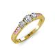 3 - Ayaka Diamond Three Stone with Side Pink Sapphire Ring 