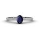 1 - Serina Classic Oval Cut Blue Sapphire and Round Diamond 3 Row Shank Engagement Ring 