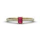 1 - Serina Classic Emerald Cut Rhodolite Garnet and Round Diamond 3 Row Shank Engagement Ring 