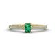 1 - Serina Classic Emerald Cut Emerald and Round Diamond 3 Row Shank Engagement Ring 