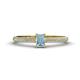 1 - Serina Classic Emerald Cut Aquamarine and Round Diamond 3 Row Shank Engagement Ring 