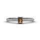 1 - Serina Classic Emerald Cut Smoky Quartz and Round Diamond 3 Row Shank Engagement Ring 