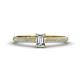 1 - Serina Classic Emerald Cut Lab Grown and Round Mined Diamond 3 Row Shank Engagement Ring 