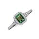 3 - Josie Rainbow Emerald Cut Tanzanite and Round Diamond Halo Engagement Ring 