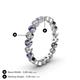4 - Arria 2.70 mm Iolite and Lab Grown Diamond Eternity Band 