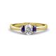 1 - Gemma 7x5 mm Oval Cut Lab Grown Diamond and Iolite Trellis Three Stone Engagement Ring 