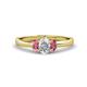 1 - Gemma 7x5 mm Oval Cut Lab Grown Diamond and Rhodolite Garnet Trellis Three Stone Engagement Ring 