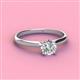 2 - Solus Round Forever One Moissanite Solitaire Engagement Ring  