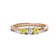 1 - Quyen 0.53 ctw (4.00 mm) Round Natural Diamond and Yellow Diamond Three Stone Engagement Ring  