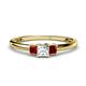 1 - Eadlin Princess Cut Diamond and Red Garnet Three Stone Engagement Ring 