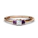 1 - Eadlin Princess Cut Diamond and Amethyst Three Stone Engagement Ring 