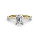 1 - Charlotte Desire 1.24 ctw (7x5 mm) IGI Certified Emerald Cut Lab Grown Diamond (VS1/F) and Round Natural Diamond Hidden Halo Engagement Ring 