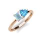 3 - Esther Emerald Shape Aquamarine & Heart Shape Blue Topaz 2 Stone Duo Ring 