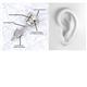 3 - Alina 1.26 ctw (5.50 mm) Lab Grown Diamond Solitaire Stud Earrings 