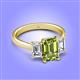 4 - Aletta 9x7 mm Emerald Cut Peridot and Lab Grown Diamond Three Stone Engagement Ring 