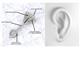 3 - Pema 1.00 ctw (5.00 mm) Round Lab Grown Diamond  Solitaire Stud Earrings 