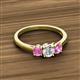 2 - Quyen 1.03 ctw (5.00 mm) Round Natural Diamond and Pink Sapphire Three Stone Engagement Ring  