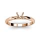 3 - Celine Semi Mount Engagement Ring 