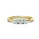 1 - Quyen 0.49 ctw (4.00 mm) Round Natural Diamond and Aquamarine Three Stone Engagement Ring  