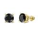 Alina Black Diamond Solitaire Stud Earrings Black Diamond Four Prong Solitaire Stud Earrings cttw in K Yellow Gold
