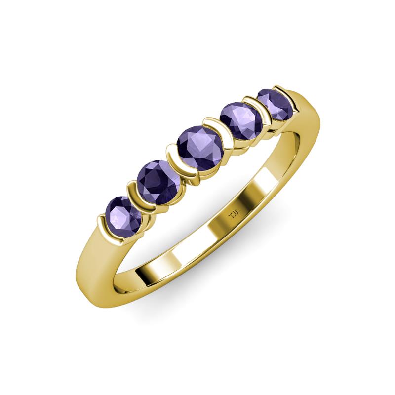 Roena 0.66 ctw Iolite Round (3.80 mm) & (3.30 mm) 5 Stone Wedding Band 
