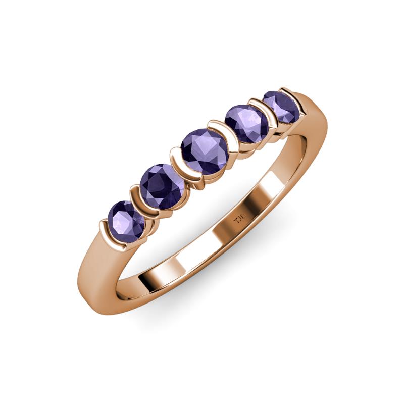 Roena 0.66 ctw Iolite Round (3.80 mm) & (3.30 mm) 5 Stone Wedding Band 