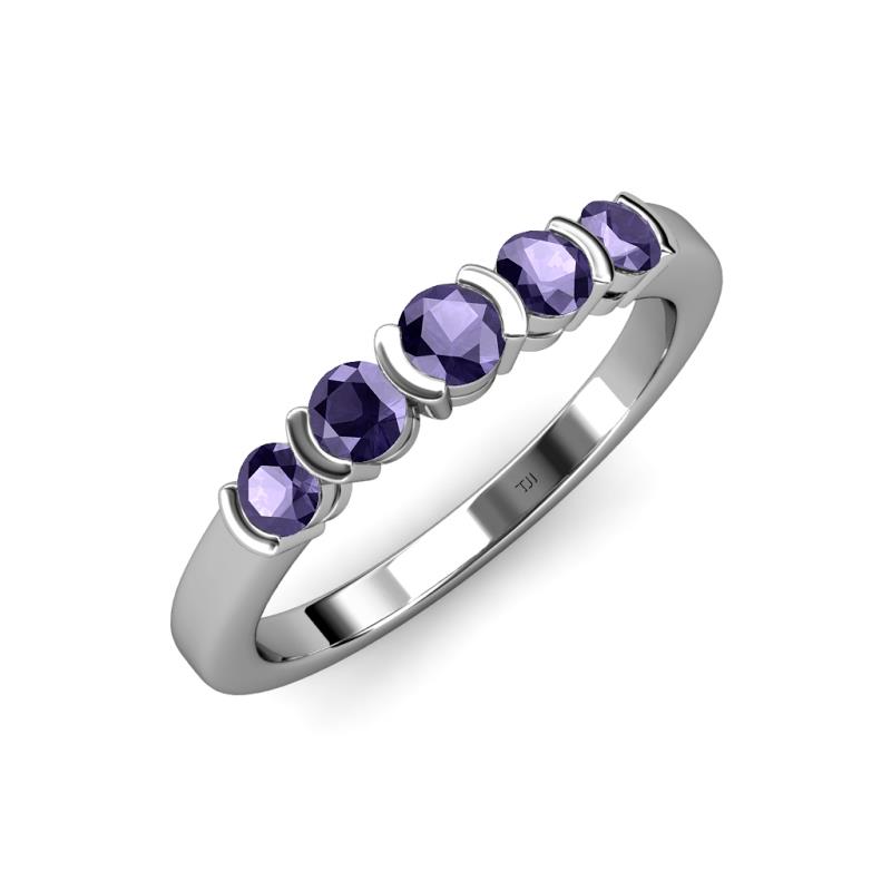 Roena 0.66 ctw Iolite Round (3.80 mm) & (3.30 mm) 5 Stone Wedding Band 