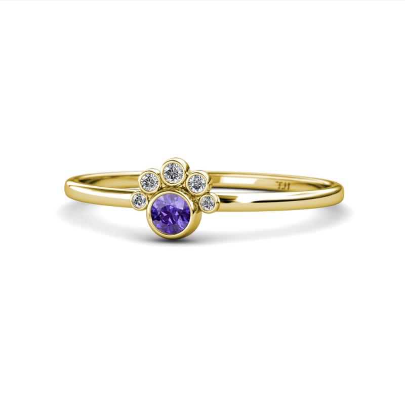 Paw Bold Round Iolite and Diamond Promise Ring 