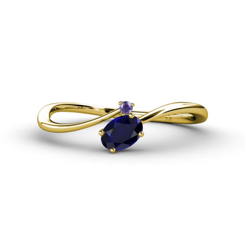 Lucie Bold Oval Cut Blue Sapphire and Round Iolite 2 Stone Promise Ring 