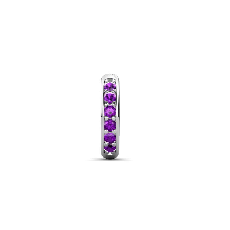 Cianna 0.10 ctw Petite Single Huggie Earring in Amethyst 