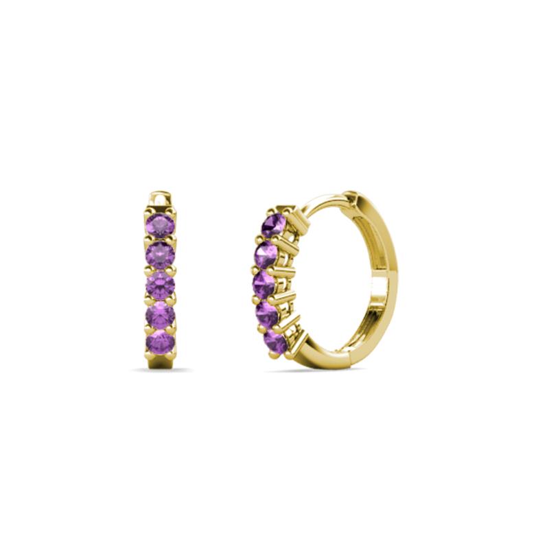 Aricia Petite 0.22 ctw Amethyst Hoop Earrings 