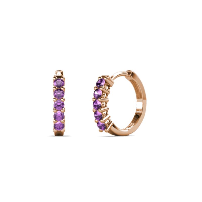 Aricia Petite 0.22 ctw Amethyst Hoop Earrings 