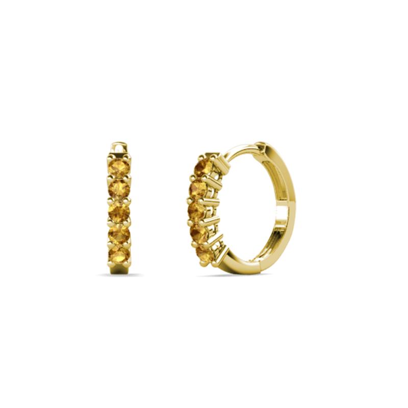 Aricia Petite 0.22 ctw Citrine Hoop Earrings 