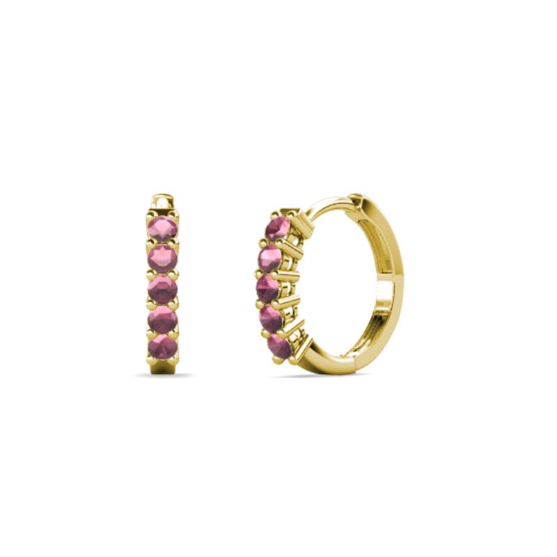 Aricia Petite 0.37 ctw Rhodolite Garnet Hoop Earrings 